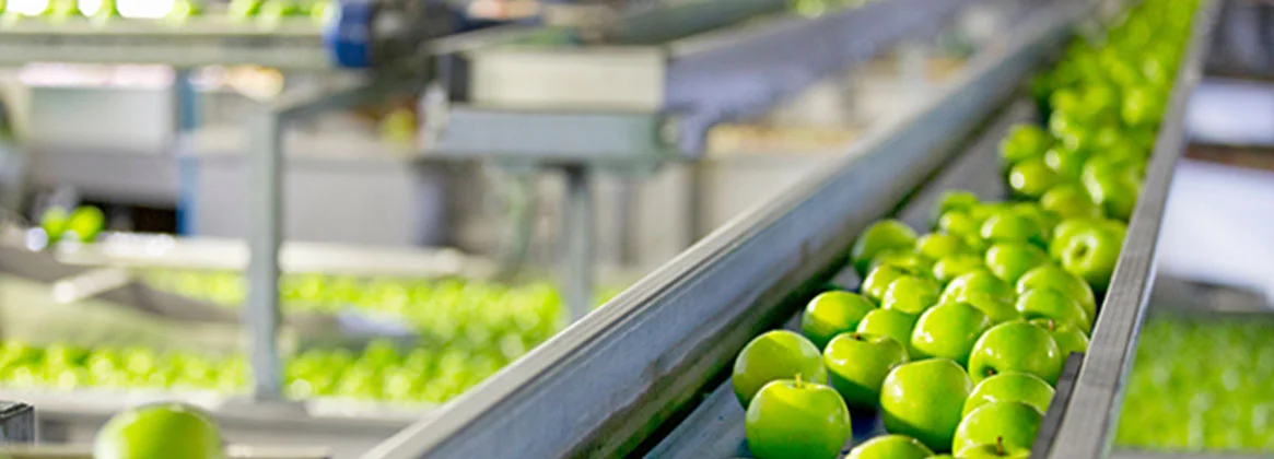 What is the future of the food industry? How is it evolving? 
