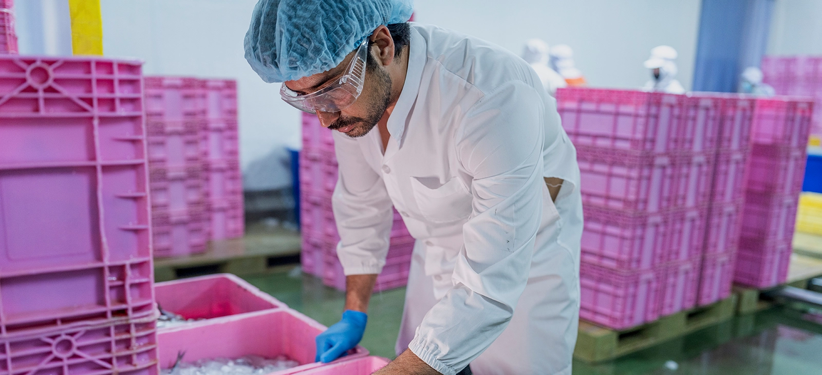 Worker sorting fresh fish in cold storage facility